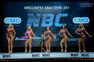 WELLNESS МАСТЕРА +35